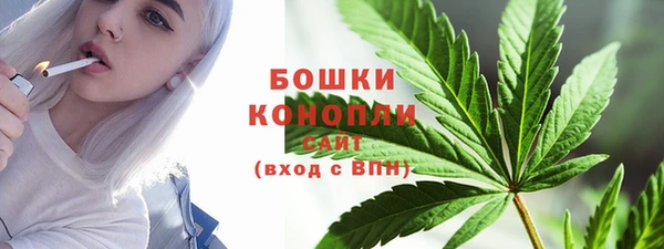 гидра Нязепетровск