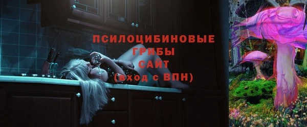 a pvp Няндома