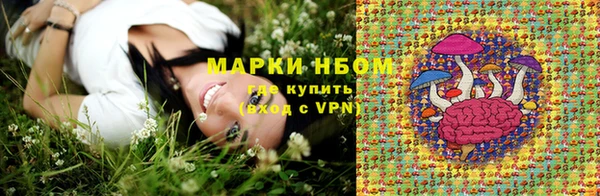 a pvp Няндома