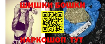 соль ск Славгород