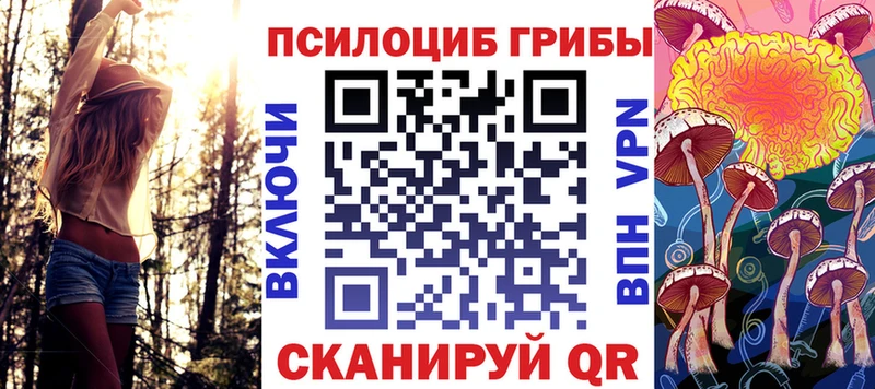 купить наркотики сайты  Тула  Галлюциногенные грибы Cubensis 