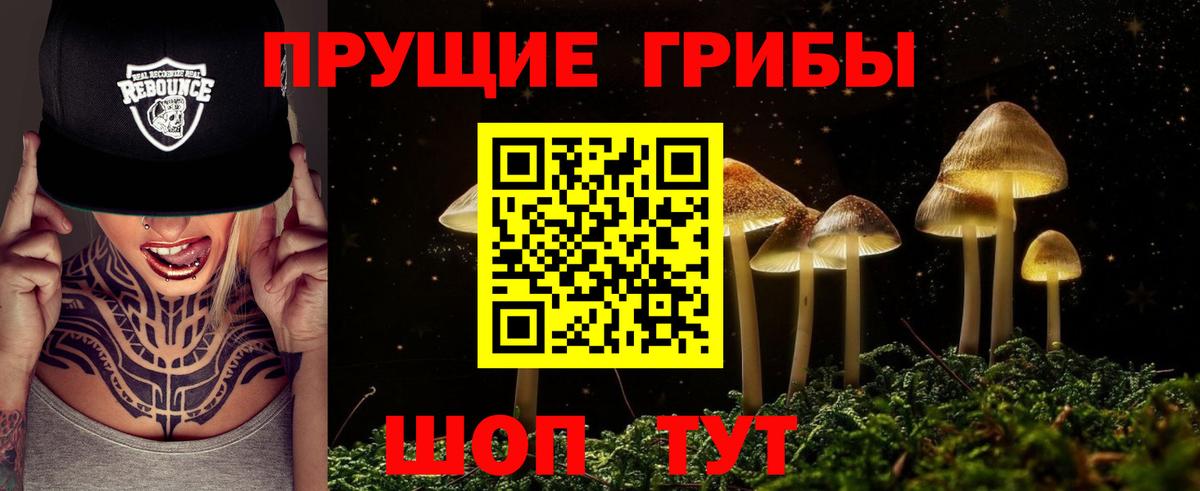 Галлюциногенные грибы ЛСД  Вход с VPN  продажа наркотиков  Тула 